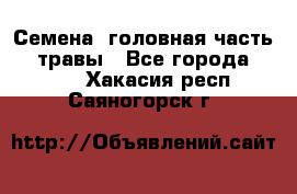 Семена (головная часть))) травы - Все города  »    . Хакасия респ.,Саяногорск г.